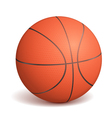 basketball ball vector image