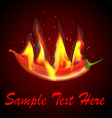 red chilli flames vector image