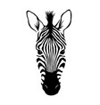 zebra head animal face vector image