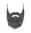 Man with beard and mustache Royalty Free Vector Image