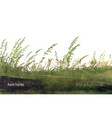 field grass silhouette watercolor vector image vector image