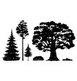 set forest trees black and white vector image