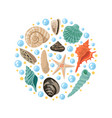 different tropical shells in circle shape vector image vector image
