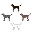 labrador icon in cartoonblack style vector image