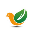 eco bird logo vector image vector image