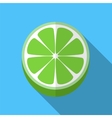 lime flat icon vector image