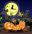 pumpkins for halloween vector image