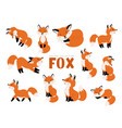 funny fox set vector image vector image