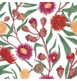 seamless botanical pattern with blooming vector image vector image