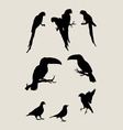 bird silhouettes vector image