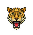 jaguar head isolated cartoon mascot design vector image vector image