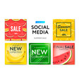social media templates summer sale use for brands vector image vector image