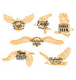 eagle hawk or falcon birds with letterings vector image vector image
