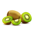kiwi fruit whole and pieces sweet 3d icons vector image