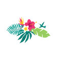 floral tropical leaves vector image