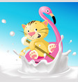 funny cat on flamingo boat in milk splash vector image vector image