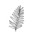 hand-drawn sketch of a plant isolated on white vector image