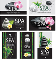 set of cards for spa salon vector image