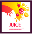 juice fruit liquid drops splash colorful vector image