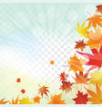 maple leaves on transparency grid vector image