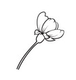 hand drawn design elements sakura flowers vector image