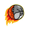 bulldog blazing basketball mascot vector image