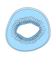 icon of kiwi in ui colors vector image vector image