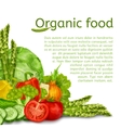 vegetables set background vector image vector image