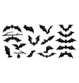 halloween holiday bats on tree branches mouses vector image