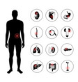 pain in human body vector image