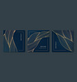 set of wavy luxury line cards golden vector image vector image