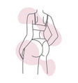 female body elegant and sensual girls back vector image