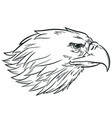 sketch eagle head side view profile vector image vector image