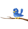 bluebird on tree branch vector image vector image