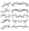 floral divider black filigree decorations vector image