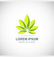 green lotus flower logo vector image