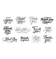 thank you lettering handwritten calligraphic vector image
