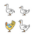 waterfowl rgb color icons set vector image