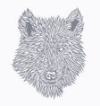 wolf drawn in detail vector image