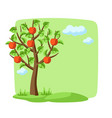 summer tree with apples and leaves seasonal vector image