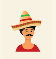 flat mexican hat icon vector image vector image