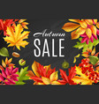 autumn sale frame background vector image