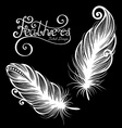 peerless decorative feather vector image
