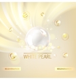 regenerate cream and vitamin vector image vector image