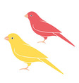 canary vector image