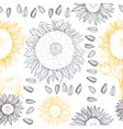 hand drawn sunflower flowers and seeds seamless vector image