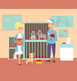 animal shelter vector image vector image