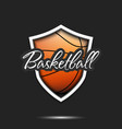 basketball logo design template vector image