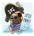 cute pug dog in a pirate hat vector image