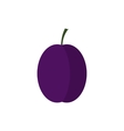 plum icon in flat style vector image